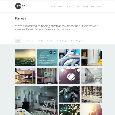 便携版轻巧的网站攻击软件工具